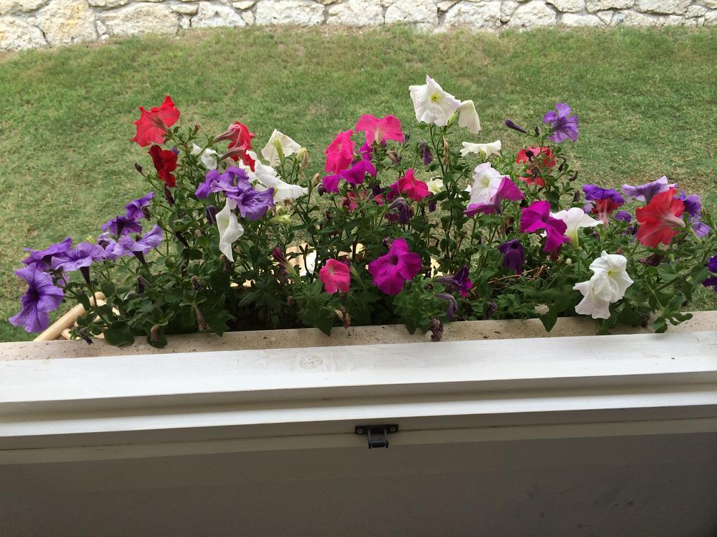 Alacati Roka Hotel Rum bild
